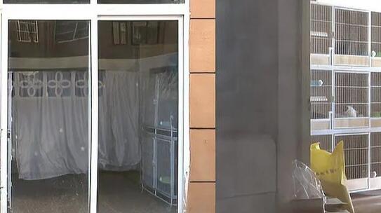 女子養10多只貓臭到鄰居不敢開窗 已經影響到鄰里生活