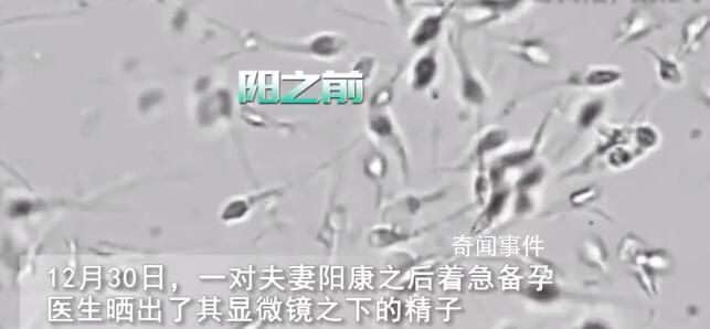 夫妻陽(yáng)康后著急備孕遭勸阻 網(wǎng)友表示：等一段時(shí)間再說(shuō)