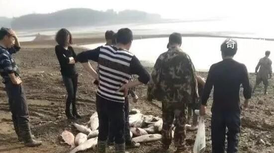 富翁回鄉(xiāng)投資遭羈押無罪釋放后病故 陳振武個人資料介紹
