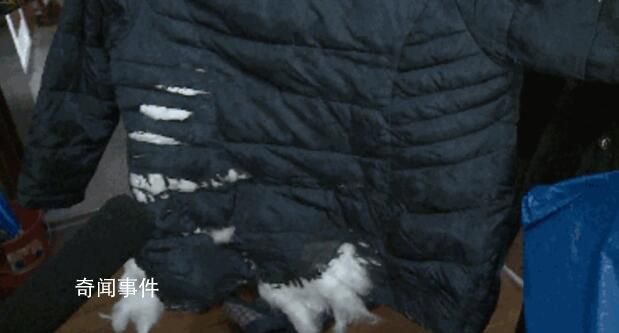 乘客羽絨服炸裂絨毛飄滿地鐵車廂 網(wǎng)友感嘆：看來是真羽絨