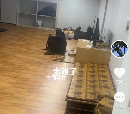 入境韓國被關小黑屋?親歷游客講述
