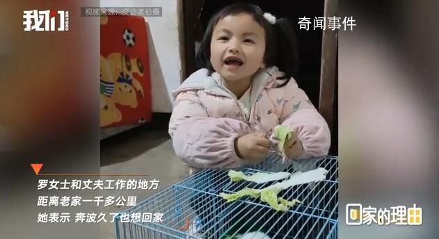夫妻瞞女兒回家過(guò)年 被孩子緊緊抱住