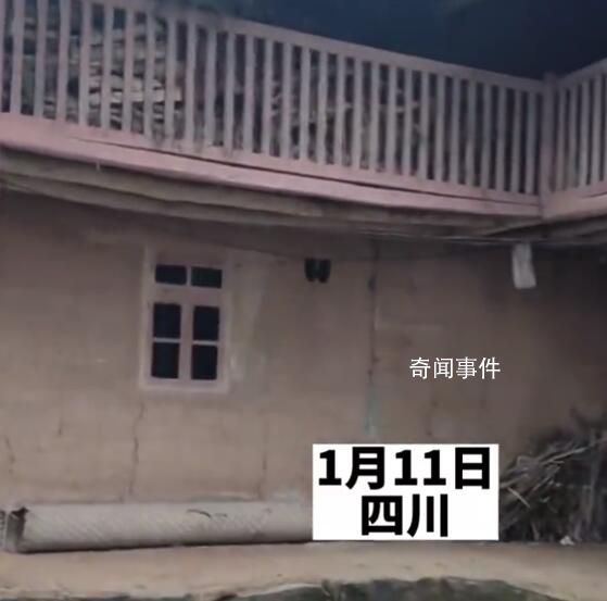 丈夫稱老家有別墅 女子回村直呼上當(dāng)