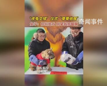 動物園辦虎兔交接 兔子險成年夜飯