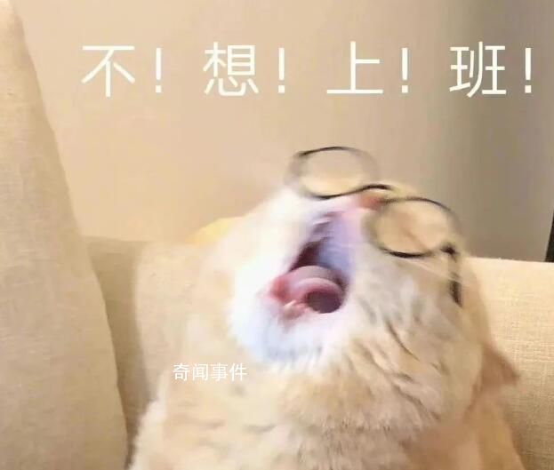 開(kāi)始7天渡劫 大年初七開(kāi)工大吉