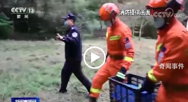 狐貍溜進(jìn)公安局被放生時(shí)回頭張望 赤狐身體沒(méi)有外傷體態(tài)正常