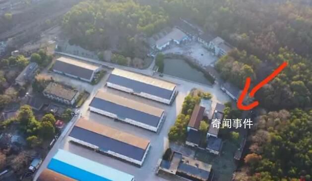 官方回應發現胡鑫宇通報只寫金雞山 為何通報中地點不寫詳實?