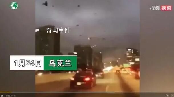 基輔上空出現(xiàn)成片烏鴉景象?假的