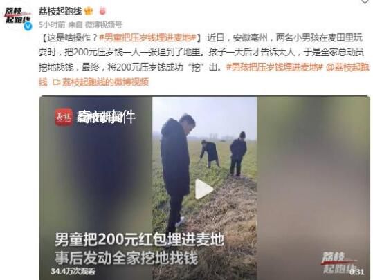 男孩把壓歲錢埋進(jìn)麥地 全家總動員結(jié)果一頓好找