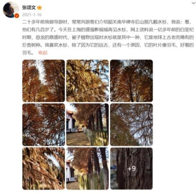 張頌文曾是廣東省最佳導(dǎo)游 90年代一度月入2萬