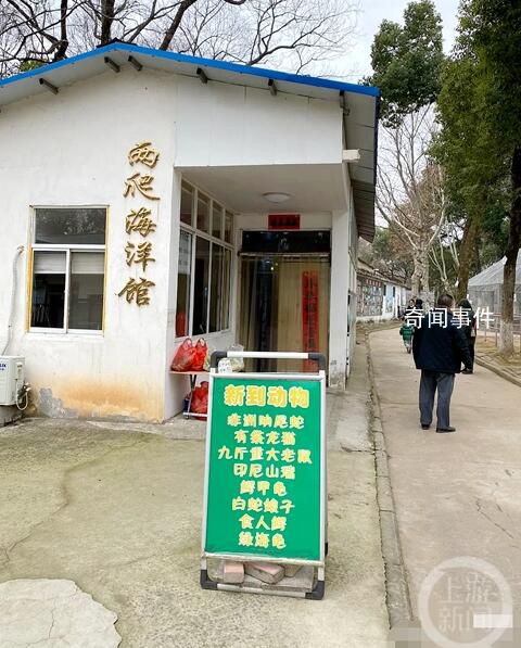 安徽一動物園被曝有九斤重大老鼠 現(xiàn)在沒有了老鼠去繁殖了