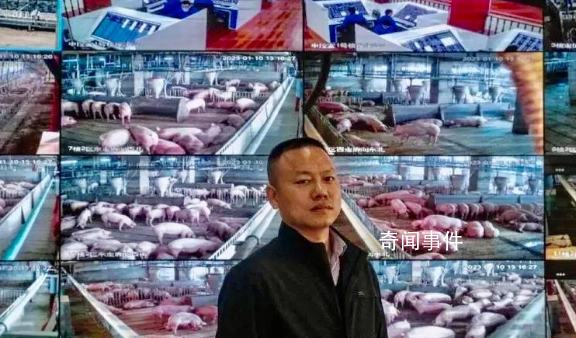 26層養(yǎng)豬大樓:用生產(chǎn)iPhone方式養(yǎng)豬