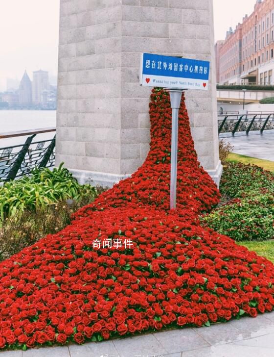 杭州地鐵口驚現(xiàn)玫瑰瀑布 網(wǎng)友：杭州是懂浪漫的