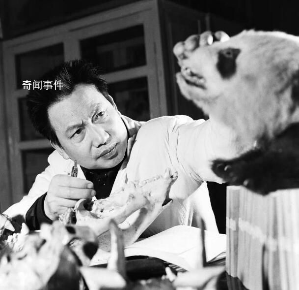 “中國大熊貓之父”胡錦矗去世 胡錦矗個(gè)人資料簡介