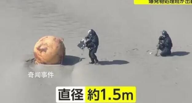 日本海岸現不明球狀物:直徑1.5米