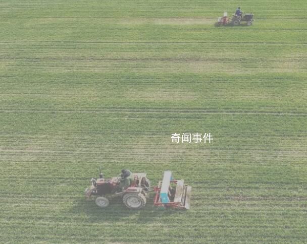 好種子“育出”新希望 田間地頭一片生機(jī)勃勃的景象