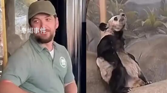 美動(dòng)物園稱丫丫毛發(fā)稀疏是家族遺傳 這種情況不會(huì)影響它的生活質(zhì)量