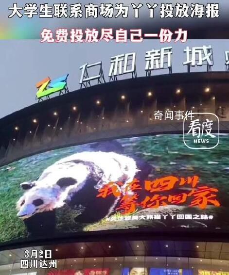 商場回應(yīng)無償設(shè)計(jì)丫丫海報(bào)并投放 一起等丫丫回家