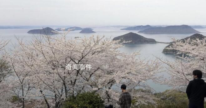 日本為何宣布“多了7000個(gè)小島” 怎么會(huì)多那么多