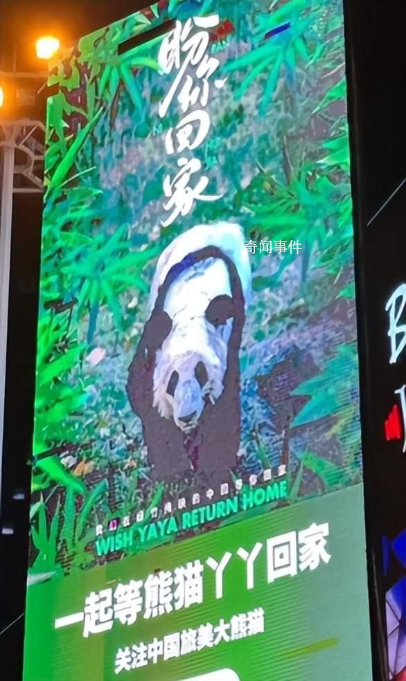 義烏一商場大屏現(xiàn)巨幅丫丫海報(bào) 期待丫丫平安歸來