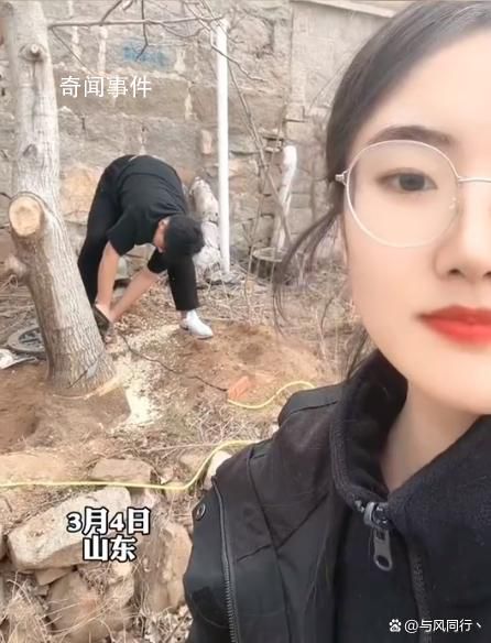 女子算命核桃樹(shù)擋姻緣家人將樹(shù)砍掉 網(wǎng)友：如果明年還嫁不出去看你還能怪啥