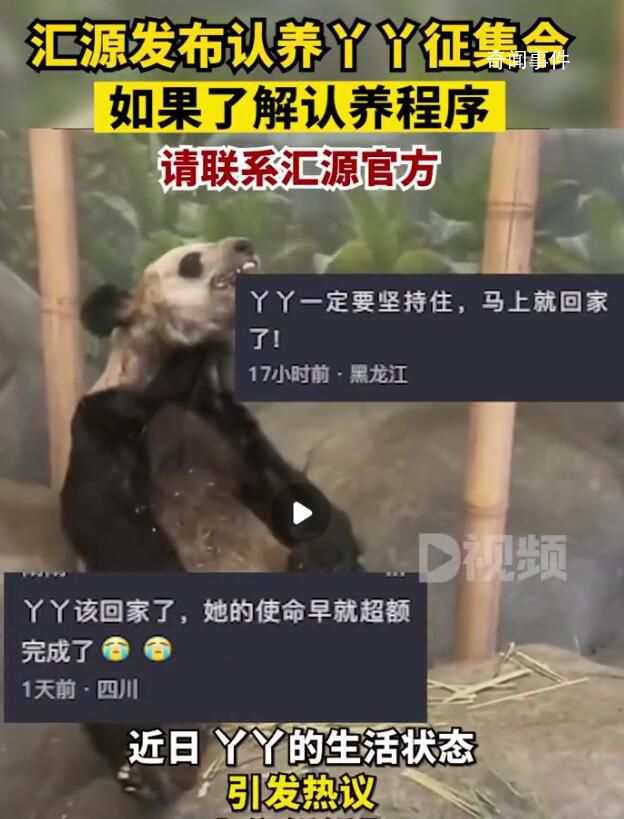匯源發(fā)布認(rèn)養(yǎng)丫丫征集令 如果了解認(rèn)養(yǎng)或捐贈(zèng)丫丫的相關(guān)程序請(qǐng)即刻聯(lián)系匯源官方
