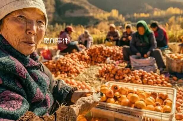 城鄉(xiāng)養(yǎng)老金水平差異明顯 如何破局
