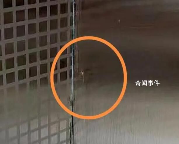 剛三月就有蚊子?專家解釋
