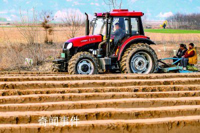 春暖花開農事正忙 田間地頭一派繁忙景象