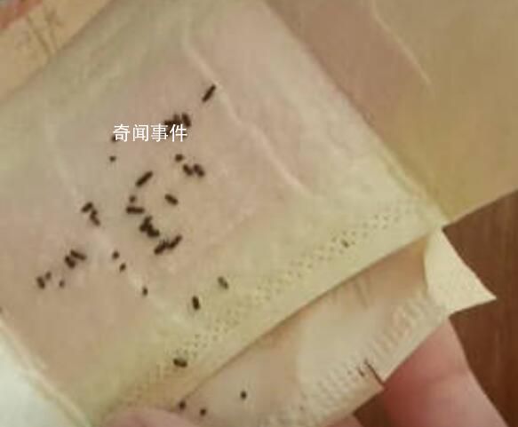 女子在衛(wèi)生巾中發(fā)現(xiàn)大量發(fā)黑蟲卵 網(wǎng)友：太可怕了