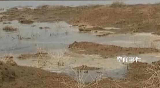 雙馬煤礦曾未經(jīng)許可擅自破壞林地 判處賠償727.54萬元