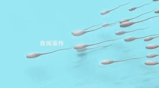 全球男性精子量告急 男性精子數(shù)量下降幅度超過(guò)60%