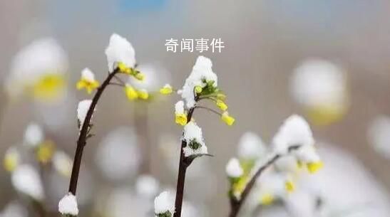 沉浸式倒春寒即將來(lái)襲 哪些人群要注意倒春寒