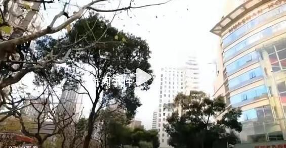 醫生因糾紛殺害護士妻子被控制 案件正在進一步偵辦中