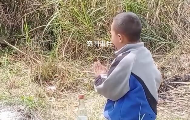 男孩掃墓在奶奶墳前跪求不寫作業 這一幕引發網友熱議
