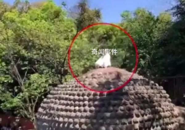 女子爬上樂(lè)山大佛頭頂盤腿打坐 景區(qū)：收到多人投訴已派人處理