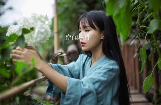 李子柒油管廣告收益 每月視頻播放量依舊能產生廣告收益785320元