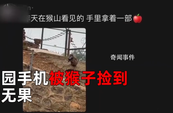 猴子撿走游客手機(jī)還接了電話 會(huì)接電話還會(huì)掛斷電話