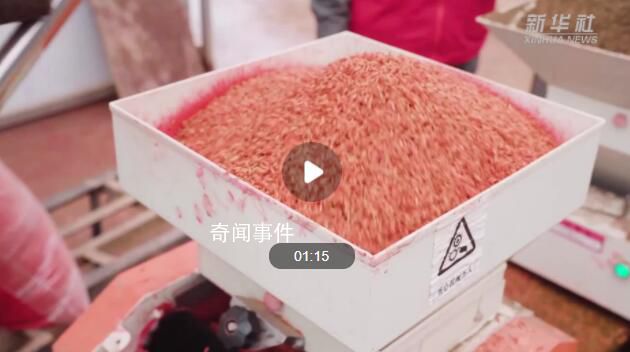 智慧育秧正當(dāng)時(shí) 電力保障助春耕
