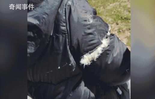 男子騎車(chē)下班被攔路光纖線割喉 已經(jīng)報(bào)警處理了