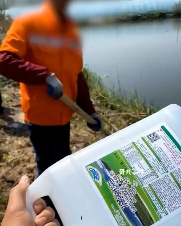 河道管理員疑除草毒死菜農70畝菜 事件引起了菜農們的極大不滿