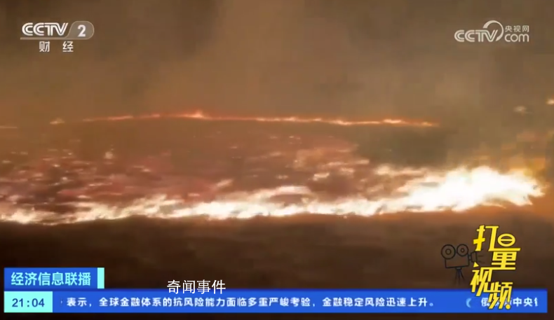 蒙古國發生草原火災 燒死大量牲畜