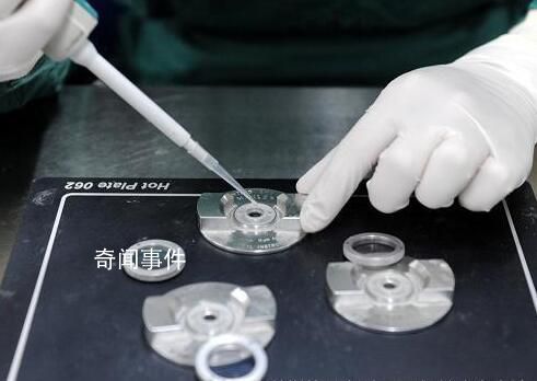 專家解讀未婚女性不能申請精子庫 為了保護(hù)社會秩序和家庭倫理