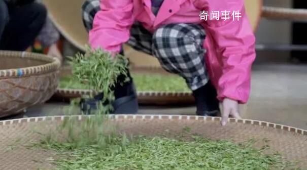 一路鮮花一路歌 春日經濟暖意濃