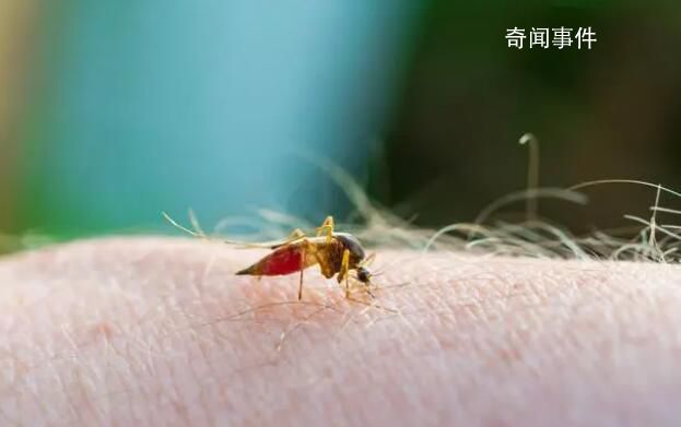 今年深圳首份“蚊子地圖”出爐 425個監測點中不合格的監測點中密度有3個