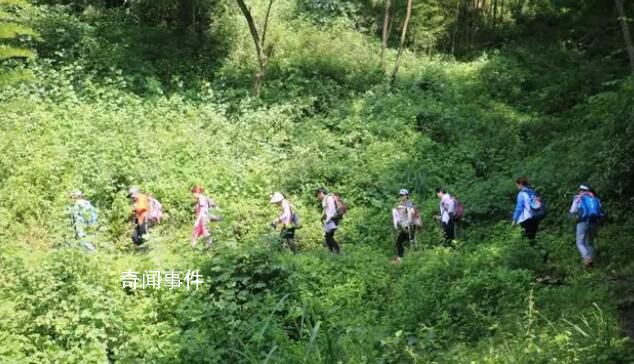 網傳3人在四川一林場服毒自殺 背后真相太可怕了