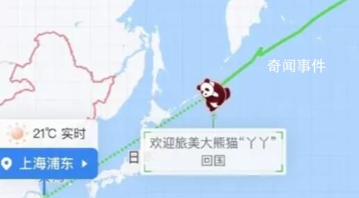 丫丫回國航線圖上飛機圖標變熊貓 今天下午將落地上海