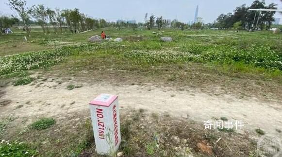 成都回應多處“拆綠還耕” 官方回應爭議