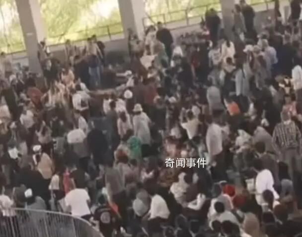 多名游客在動(dòng)物園打架互毆 網(wǎng)友：一時(shí)間不知道看誰(shuí)了