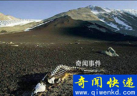 昆侖山死亡谷之謎真相是什么 昆侖山地獄之門(mén)是怎么回事